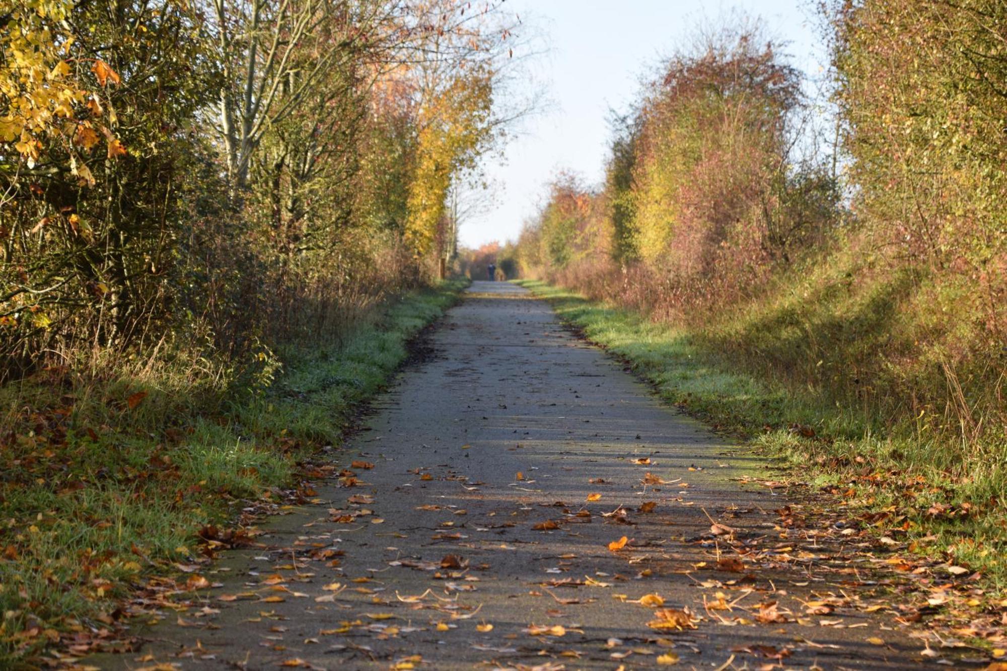Pour Une Agreable Pause Au Parc ! Alençon Exterior foto